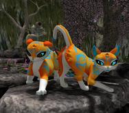 *PP* Orange Sherbet Tabby