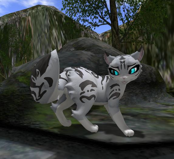 *PP* Feathertail Tabby