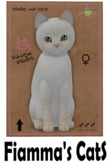 KittyCatS Box - Balinese - Cream Lynx