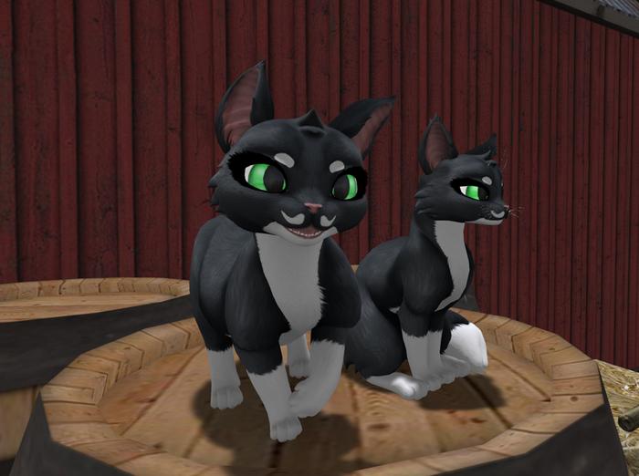 *PP* Maneki Dapper Feline