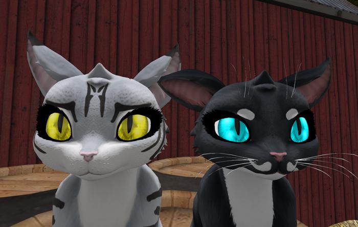 *PP* Maneki Bright Cat Eyes FatPack