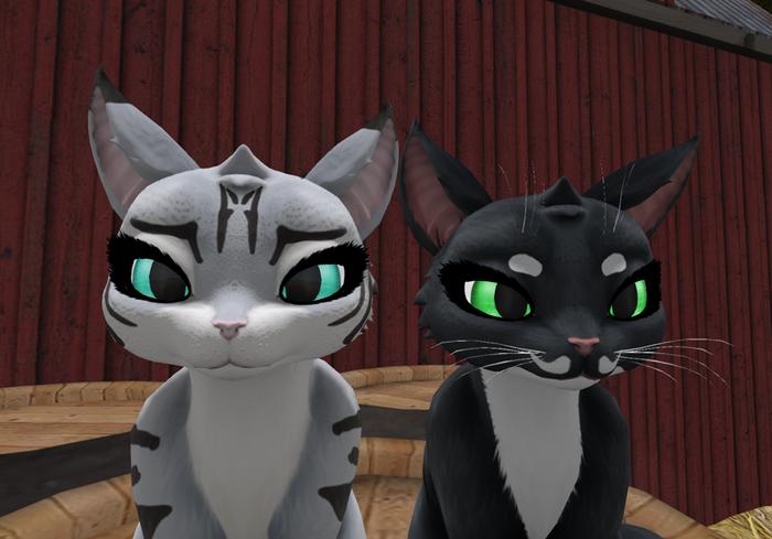 *PP* Maneki Bright Cat Eyes S1