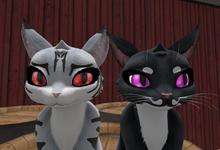 *PP* Maneki Bright Cat Eyes S2