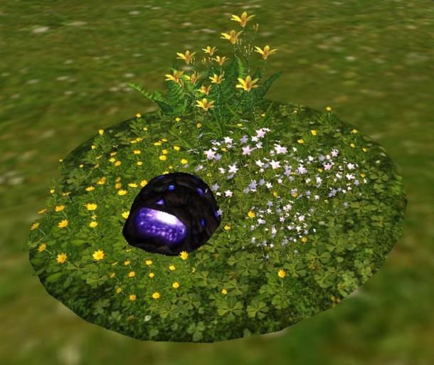 Actun, Azul Descent, Small Meeroo Nest ID #8244589