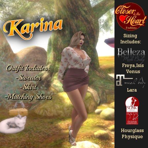 Karina Dress Outfit**