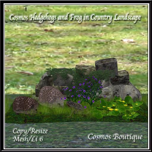 Cosmos Hedgehogs and Frog in Country Landscape  (BOX)