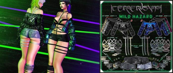 2. [CX] Wild Hazard Jacket - B ( Maitreya ) RARE