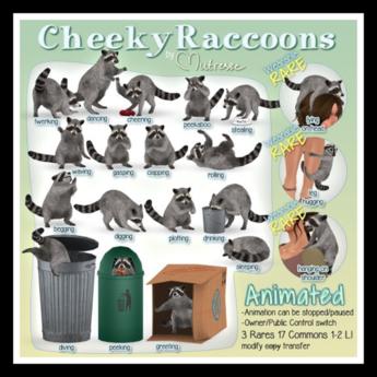 Second Life Marketplace - Mutresse-Cheeky Raccoons-Stealing