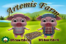 BOX KIT DFS Sow and DFS Boar FSB#16 Limited edition Rare