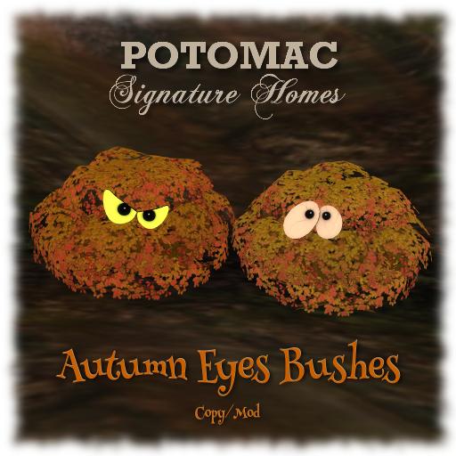 Autumn Eyes Bushes