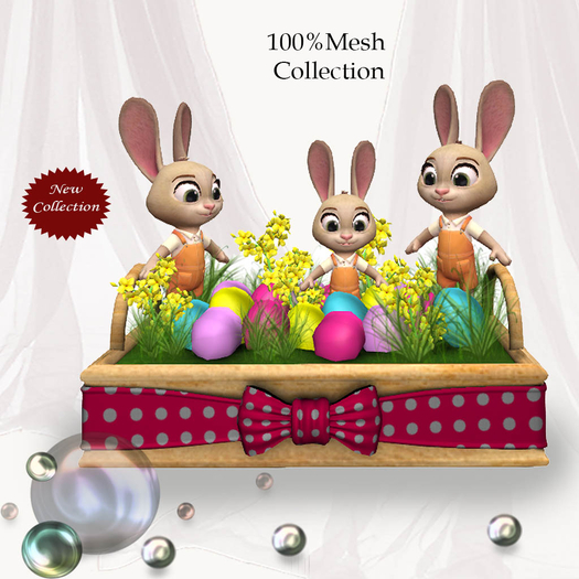 Bunny Family