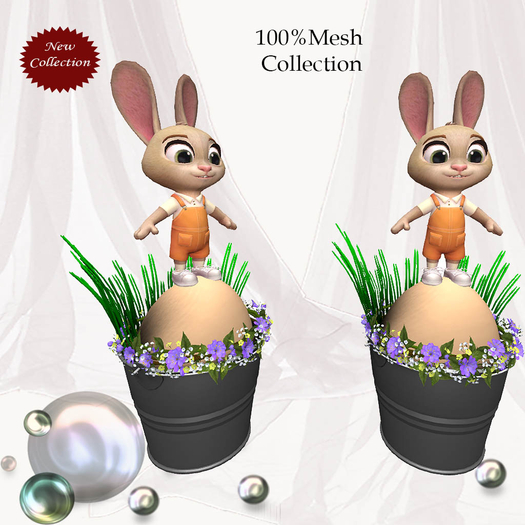 Bunny