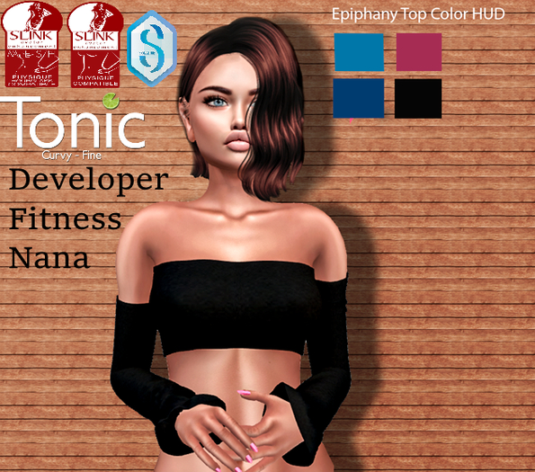 Epiphany Top Four Texures - SLink/Alice/Tonic/Dev.Fitness