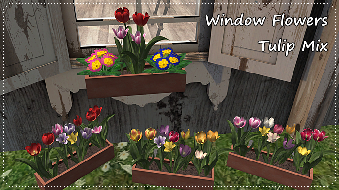 **BB** Spring Window Flowers *Tulip Mix