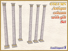 COLUMN Antique column with gilt Set ( Full perm )