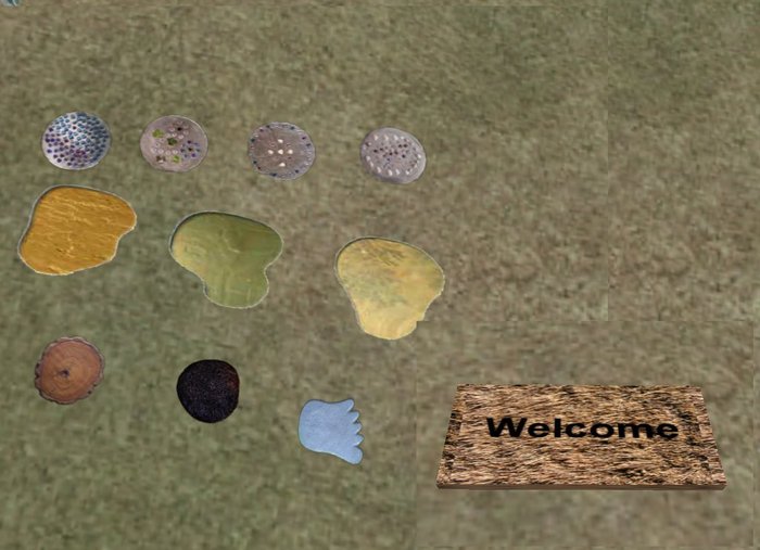 Stepping stones
