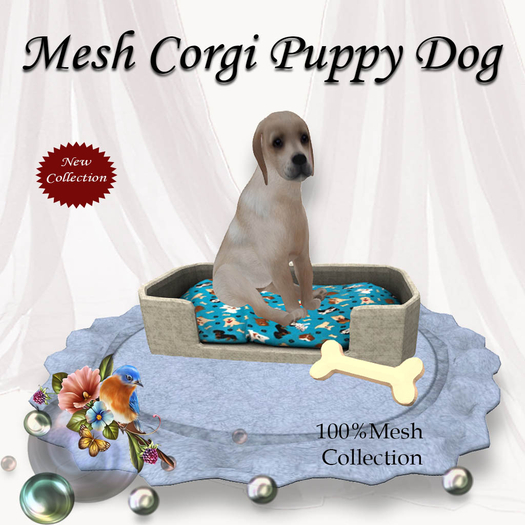 Mesh Corgi Puppy Dog Labrador(copy&modify)