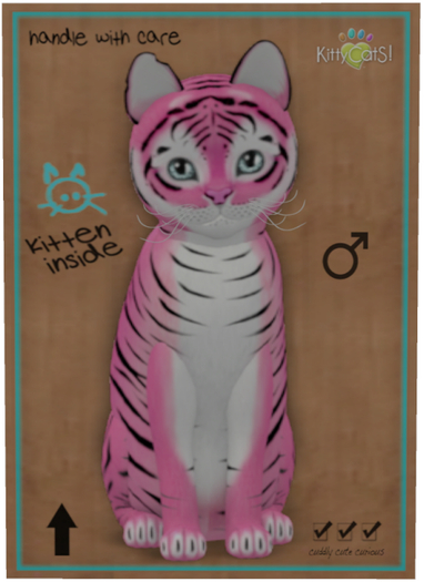KittyCatS Box - Tiger! - Pinkie Winkie