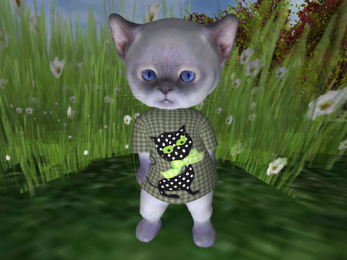 &ML& Dinkie tshirt (cat)