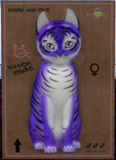Tiger! - Lavender Female