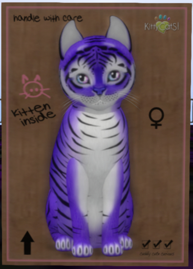 Tiger! - Lavender Female