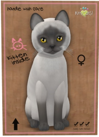 Siamese - Blue - Normal