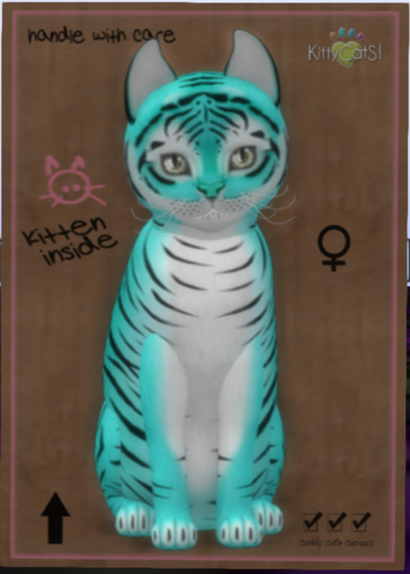 Tiger! - Turquoise Female