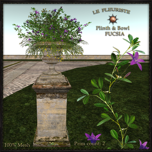 F*Plinth&BowlFUCSIA