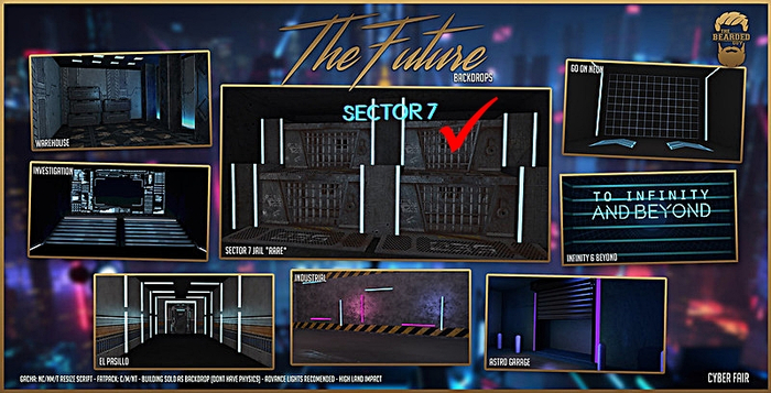 Sector 7 *RARE* - The Future - The Bearded Guy