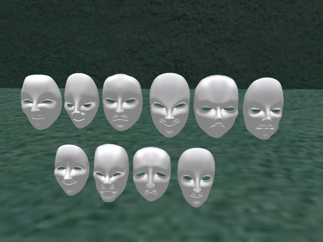 10 Mesh Masks  - FULL PERM