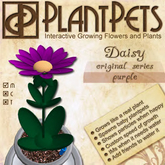PlantPet Seed [Daisy *Original Purple*]