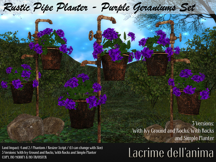 (BOX) Rustic Pipe Planter - Purple Geraniums Set