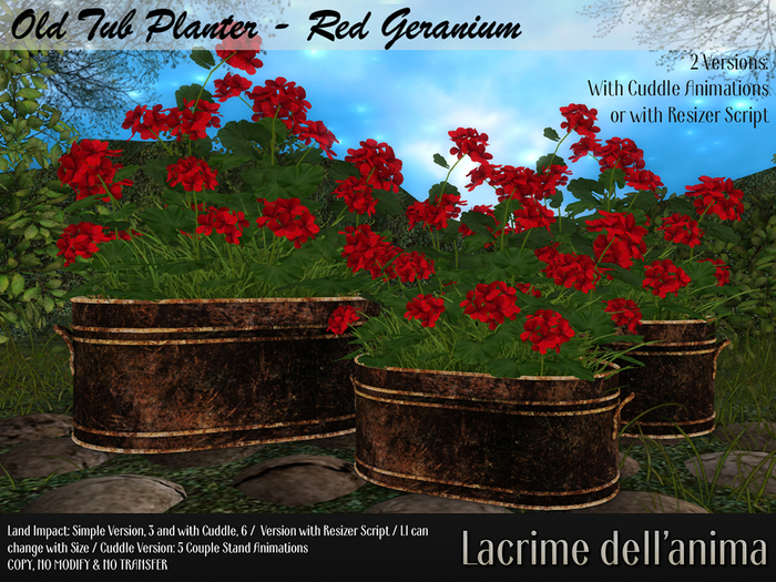 Old Tub Planter - Red Geranium