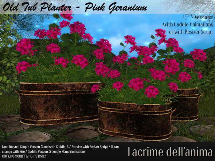Old Tub Planter - Pink Geranium