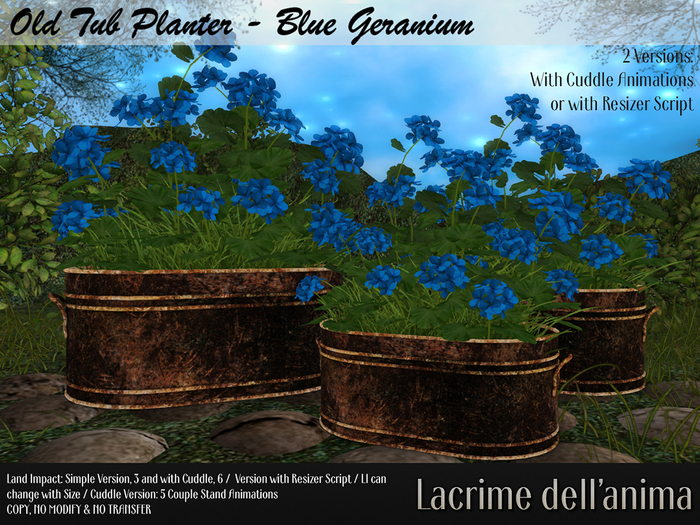 Old Tub Planter - Blue Geranium