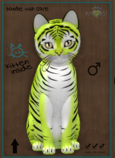 KittyCatS Box - Tiger! - Chartreuse 8T Galaxy Star