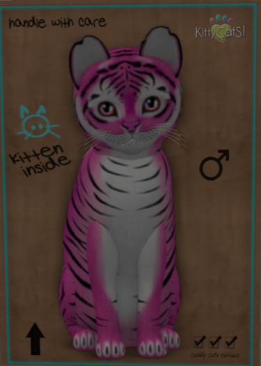 KittyCatS Box - Tiger! - BubbleGum 4T SUNSET