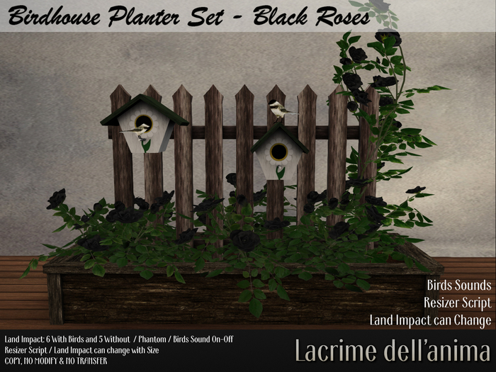 BirdHouse Planter Set - Black Roses