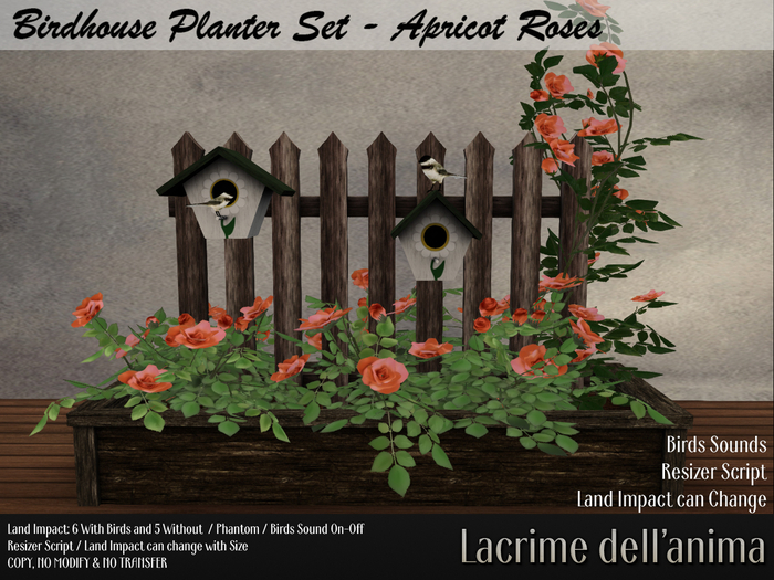 BirdHouse Planter Set - Apricot Roses