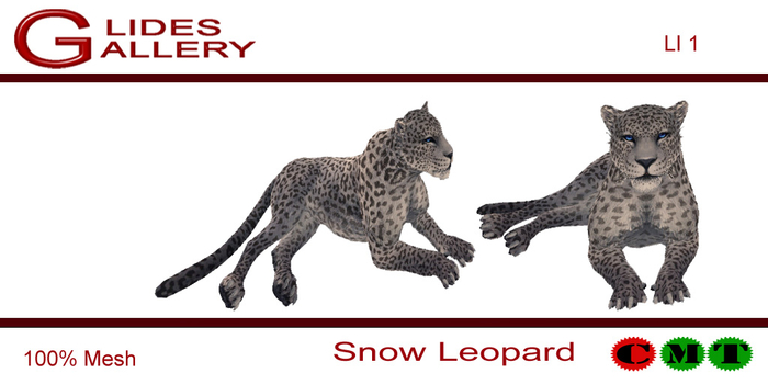 Snow Leopard - Lounging