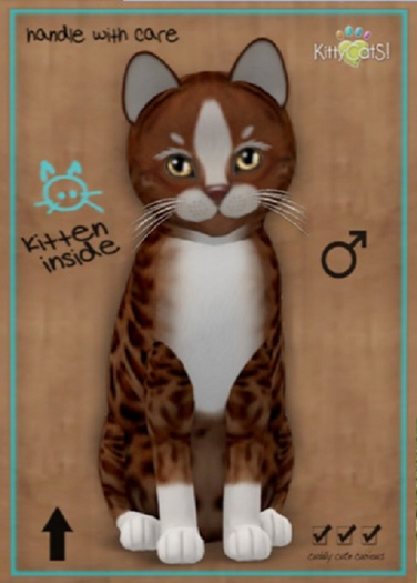 Genesis - Ginger II - Toy