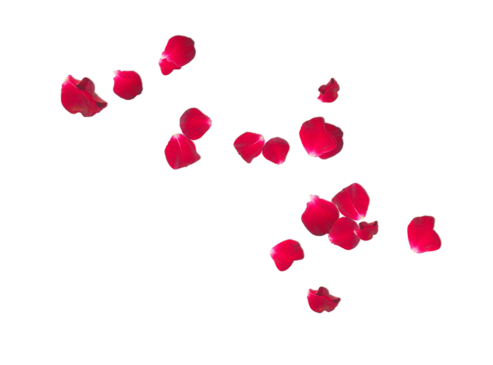 Rose Petals Alpha Texture - Full Perm