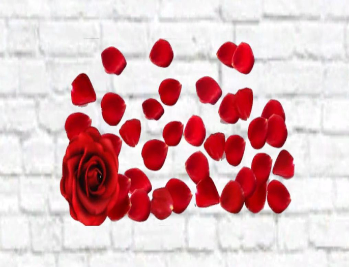 Rose & Petals Wall Decal