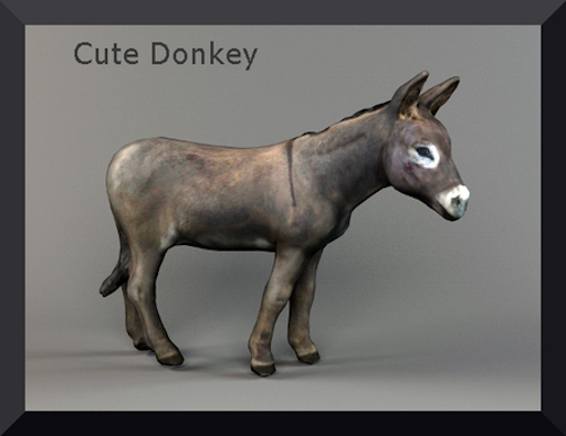 Cute Donkey