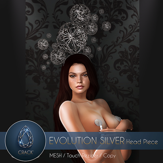 <<CRACK>> EVOLUTION SILVER HEAD PIECE