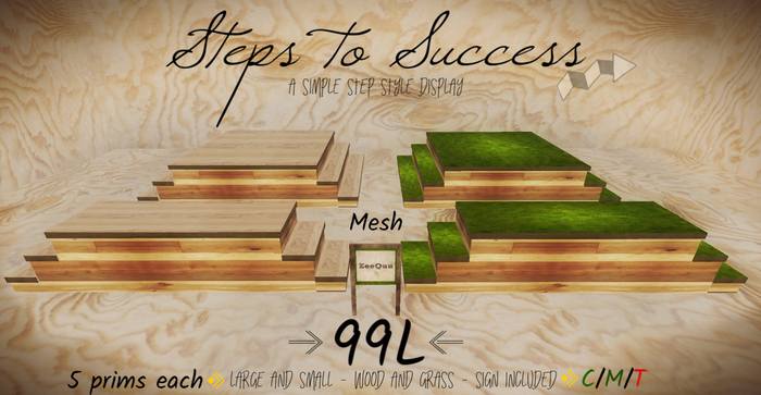 Steps to Success