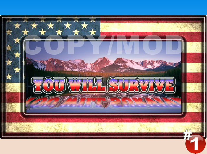 #1 STORE *You Will Survive_Framed Picture *★★★★★