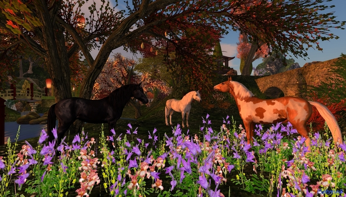 Akinawa horses 2