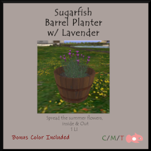 Sugarfish - Barrel Planter w/ Lavender (Add)