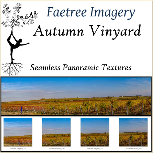 FTI Autumn Vinyard Panoramics